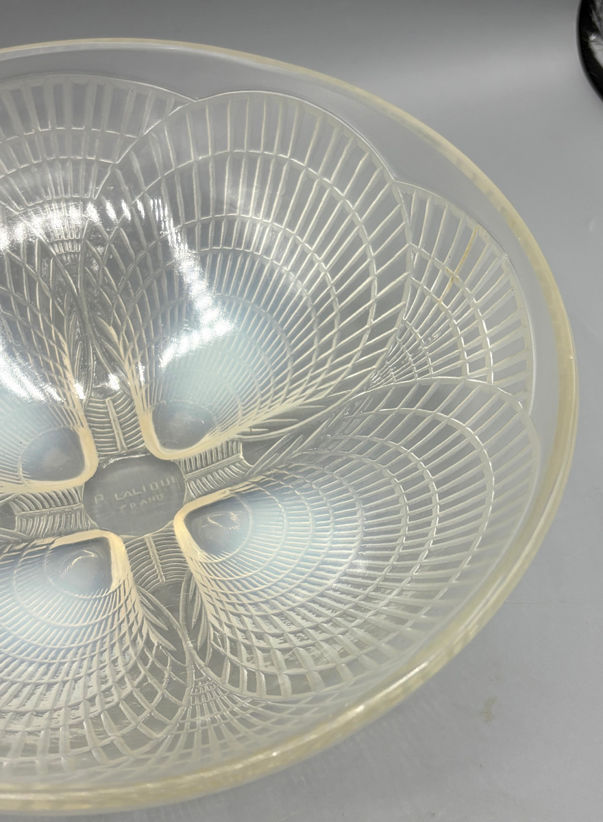 Art Deco Bowl "shells No. 1" By René Lalique, Opalescent Glass-photo-3