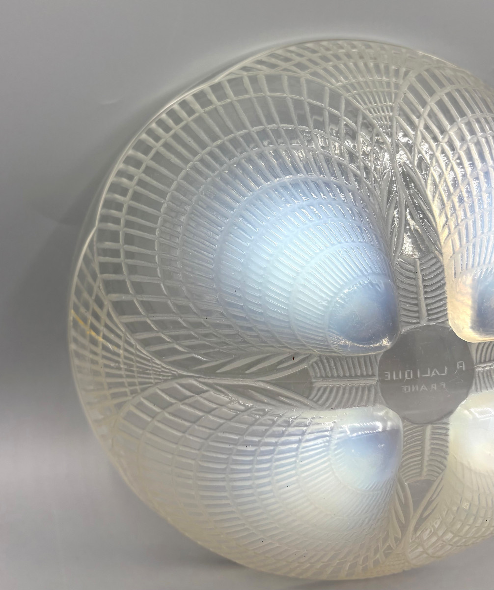 Art Deco Bowl "shells No. 1" By René Lalique, Opalescent Glass-photo-3