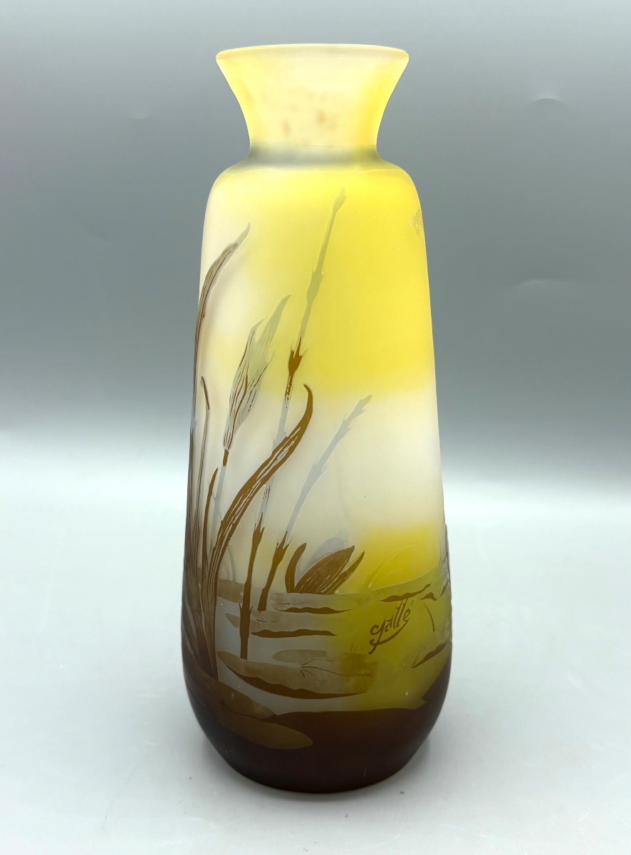 Vase Art Nouveau aux Iris et Nénuphars Emile Gallé à Nancy-photo-3