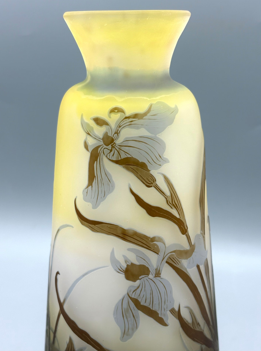 Vase Art Nouveau aux Iris et Nénuphars Emile Gallé à Nancy-photo-1