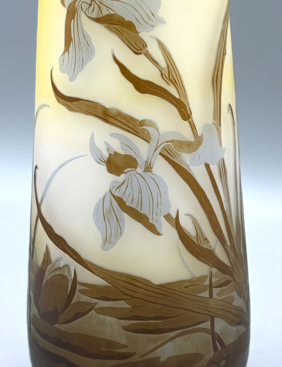 Vase Art Nouveau aux Iris et Nénuphars Emile Gallé à Nancy-photo-2