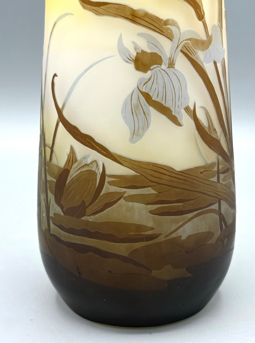 Vase Art Nouveau aux Iris et Nénuphars Emile Gallé à Nancy-photo-3