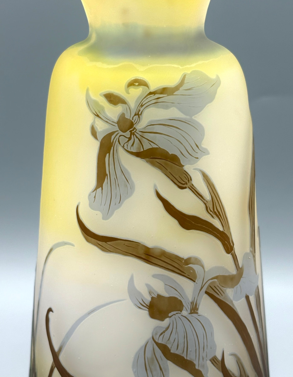 Vase Art Nouveau aux Iris et Nénuphars Emile Gallé à Nancy-photo-4