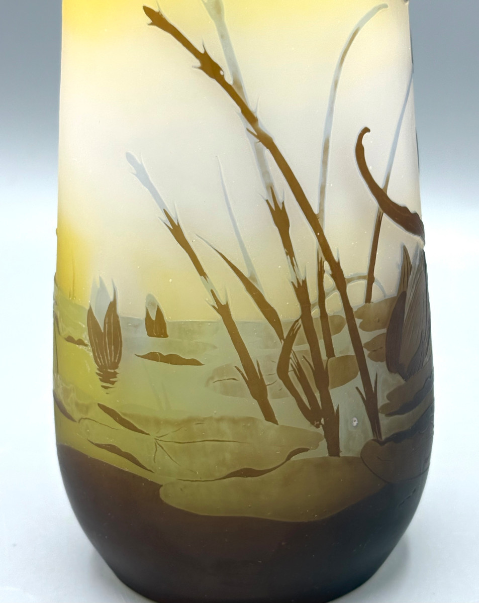 Vase Art Nouveau aux Iris et Nénuphars Emile Gallé à Nancy-photo-5