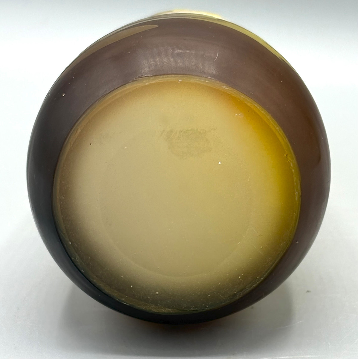 Vase Art Nouveau aux Iris et Nénuphars Emile Gallé à Nancy-photo-7