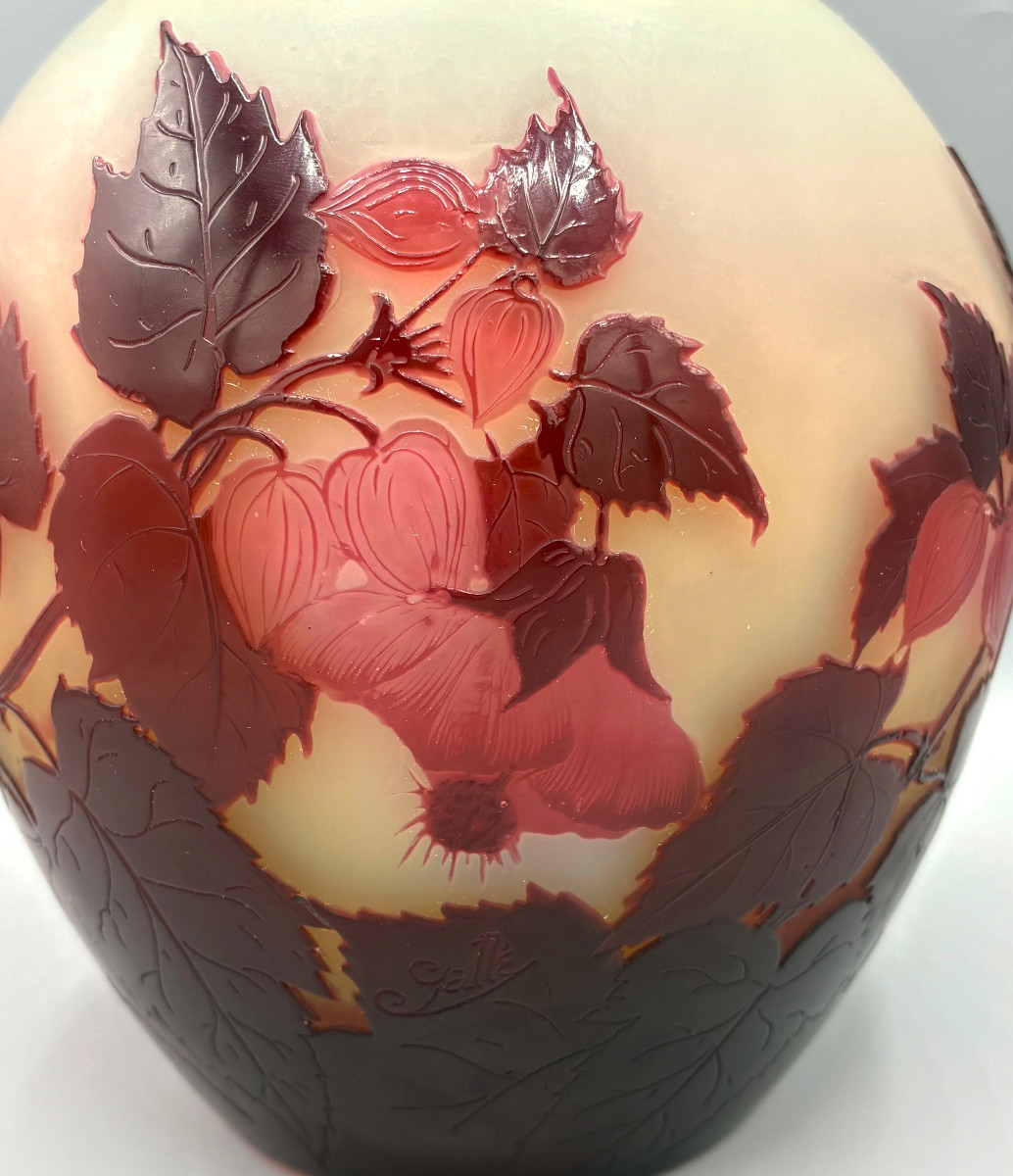 Imposant vase Art Nouveau "Abutilons" Emile Gallé à Nancy-photo-3