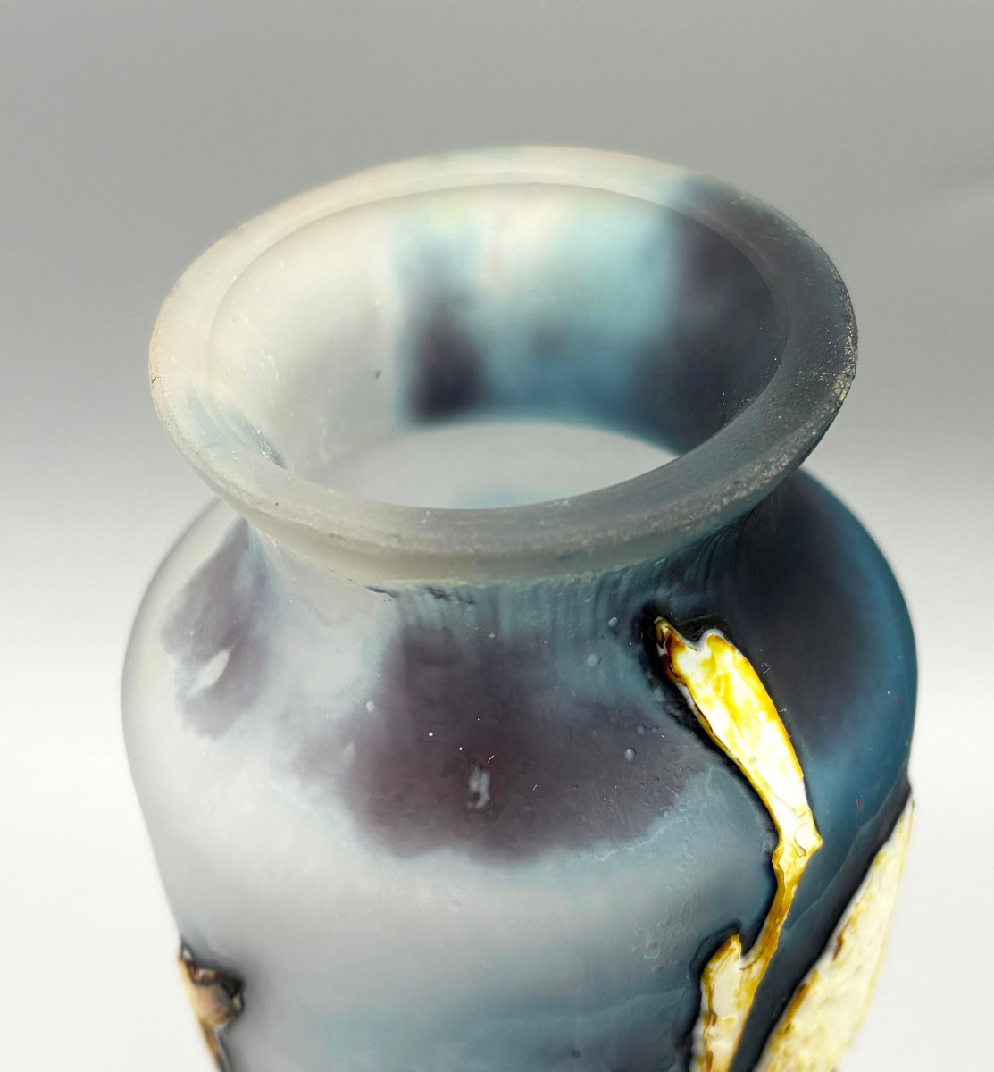 Rare Art Nouveau Vase, Fluogravure By Muller Frères, "bee And Cotton Flowers"-photo-4