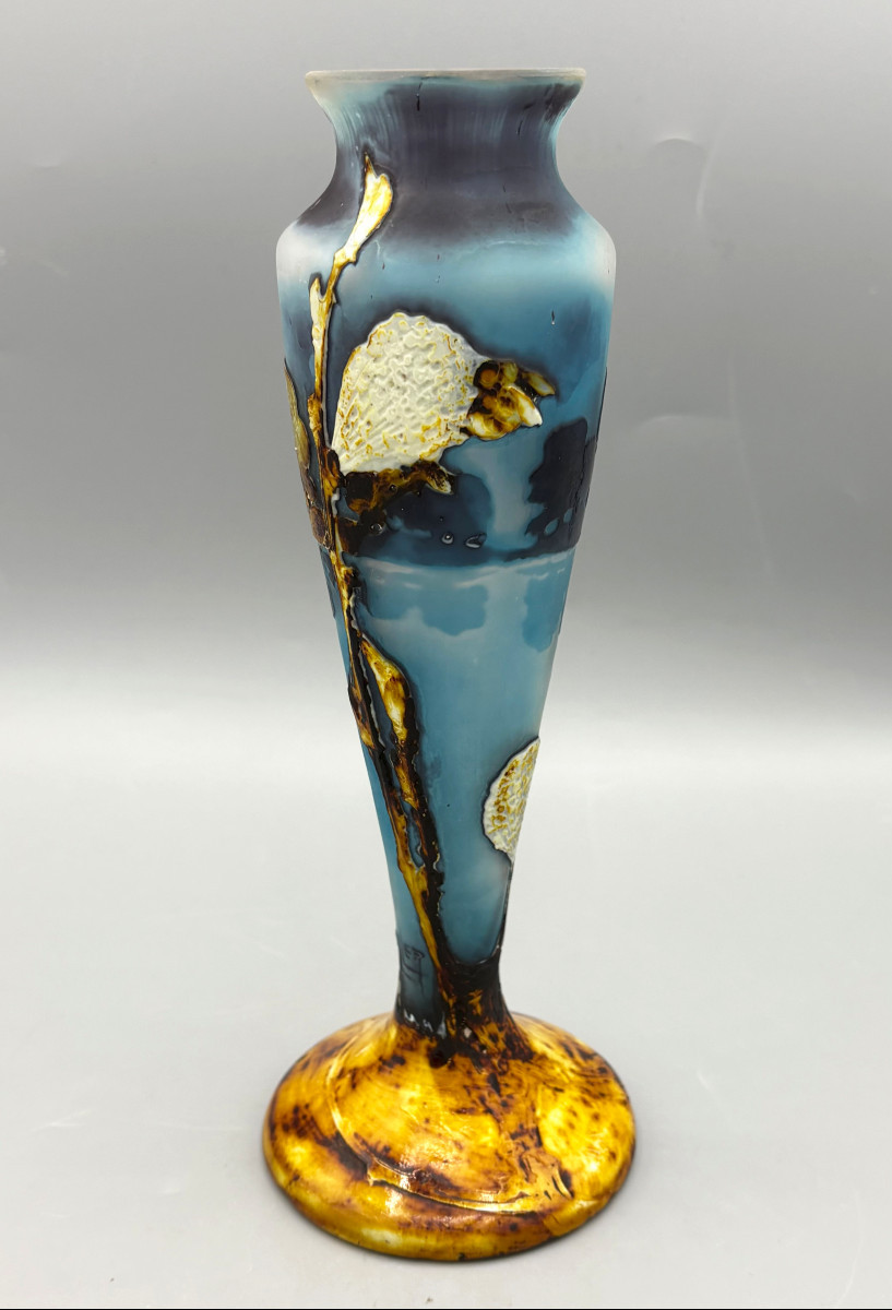 Rare Art Nouveau Vase, Fluogravure By Muller Frères, "bee And Cotton Flowers"