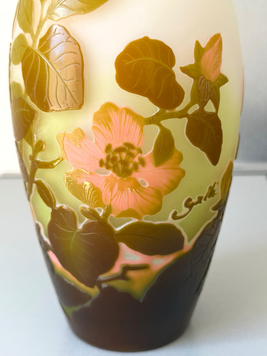 Vase Art Nouveau aux Magnolias Emile Gallé à Nancy-photo-3