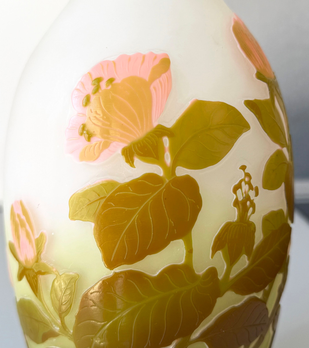 Vase Art Nouveau aux Magnolias Emile Gallé à Nancy-photo-4