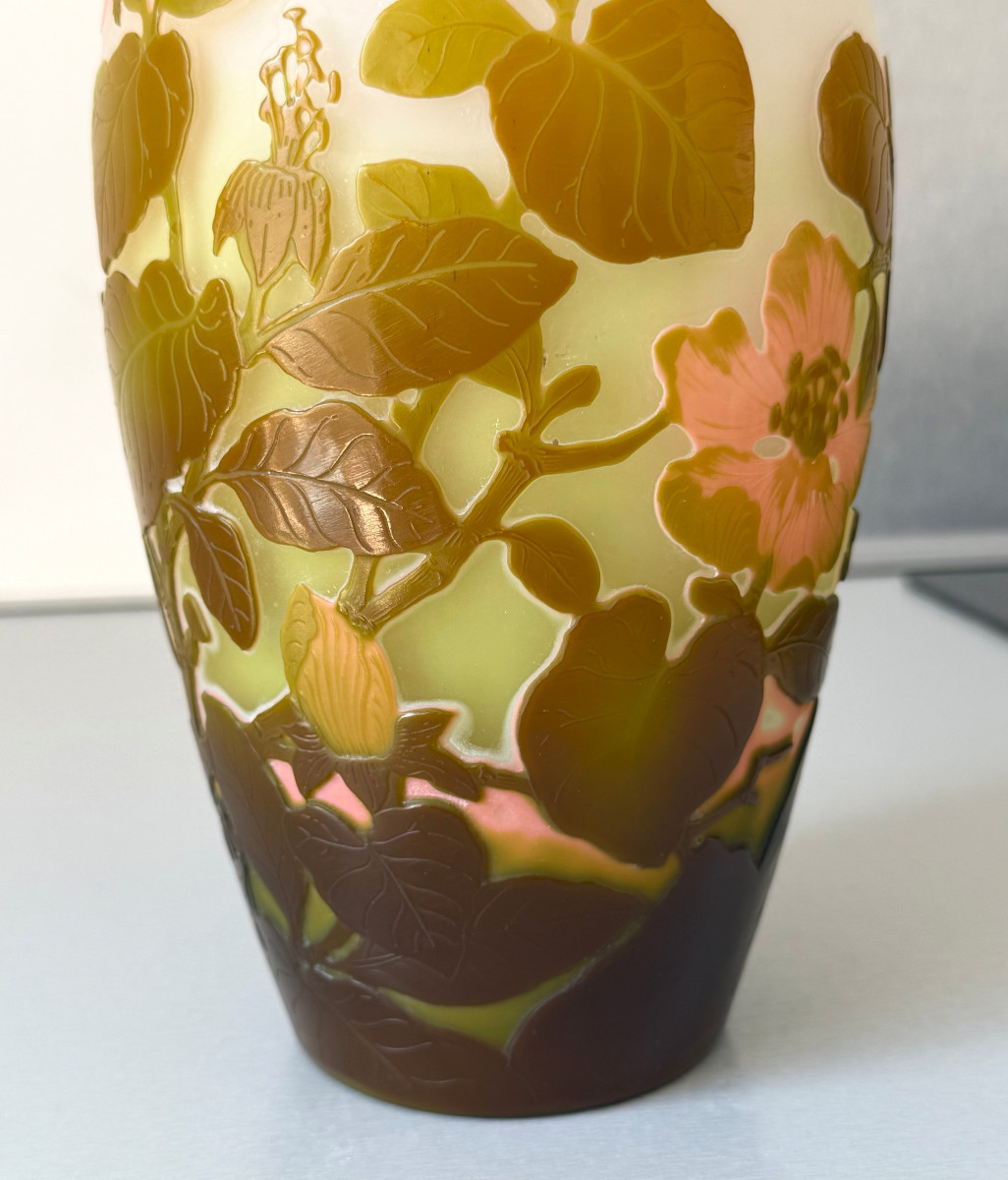 Vase Art Nouveau aux Magnolias Emile Gallé à Nancy-photo-6