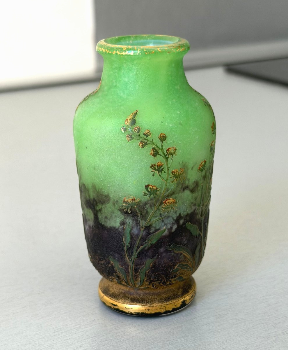 Daum Nancy "résédas" Art Nouveau Vase-photo-2
