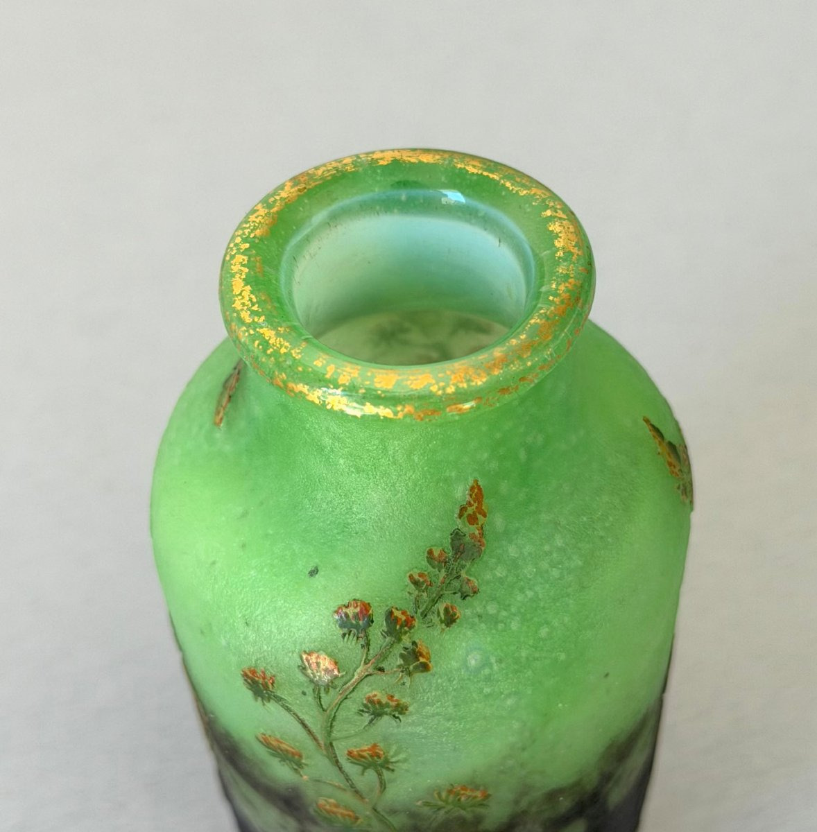 Daum Nancy "résédas" Art Nouveau Vase-photo-1