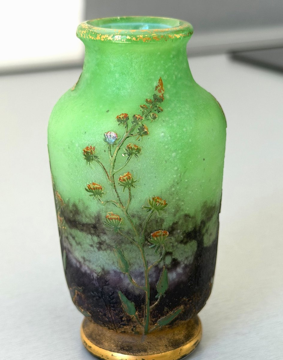 Daum Nancy "résédas" Art Nouveau Vase-photo-2
