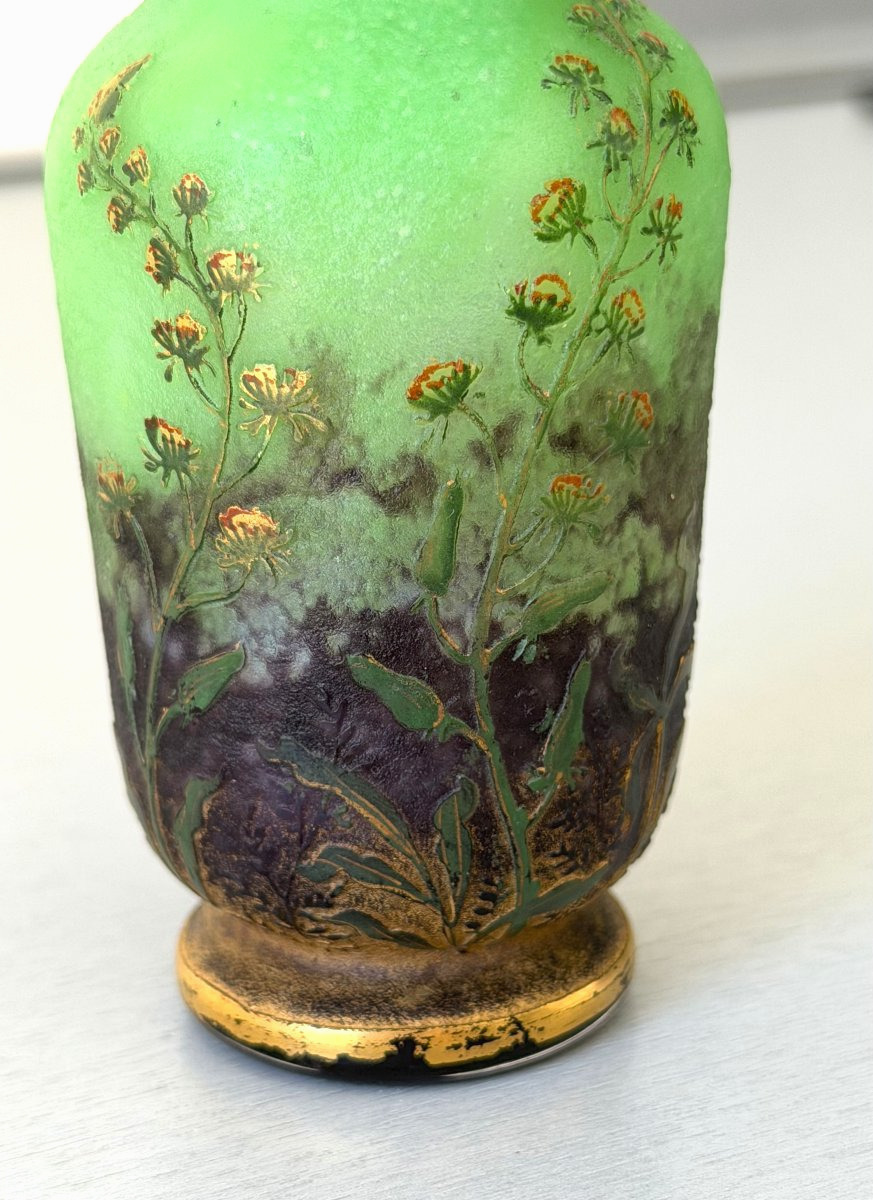 Daum Nancy "résédas" Art Nouveau Vase-photo-5