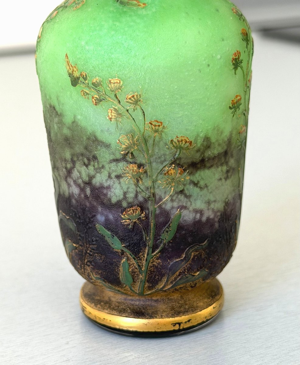 Daum Nancy "résédas" Art Nouveau Vase-photo-6