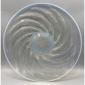 Premiere-Image-1709775