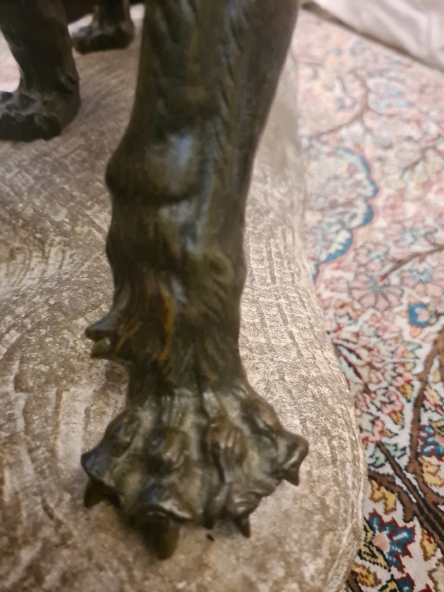 Bronze: Lionne Blessée Rugissant Par Thomas François Cartier (1879-1943)-photo-3