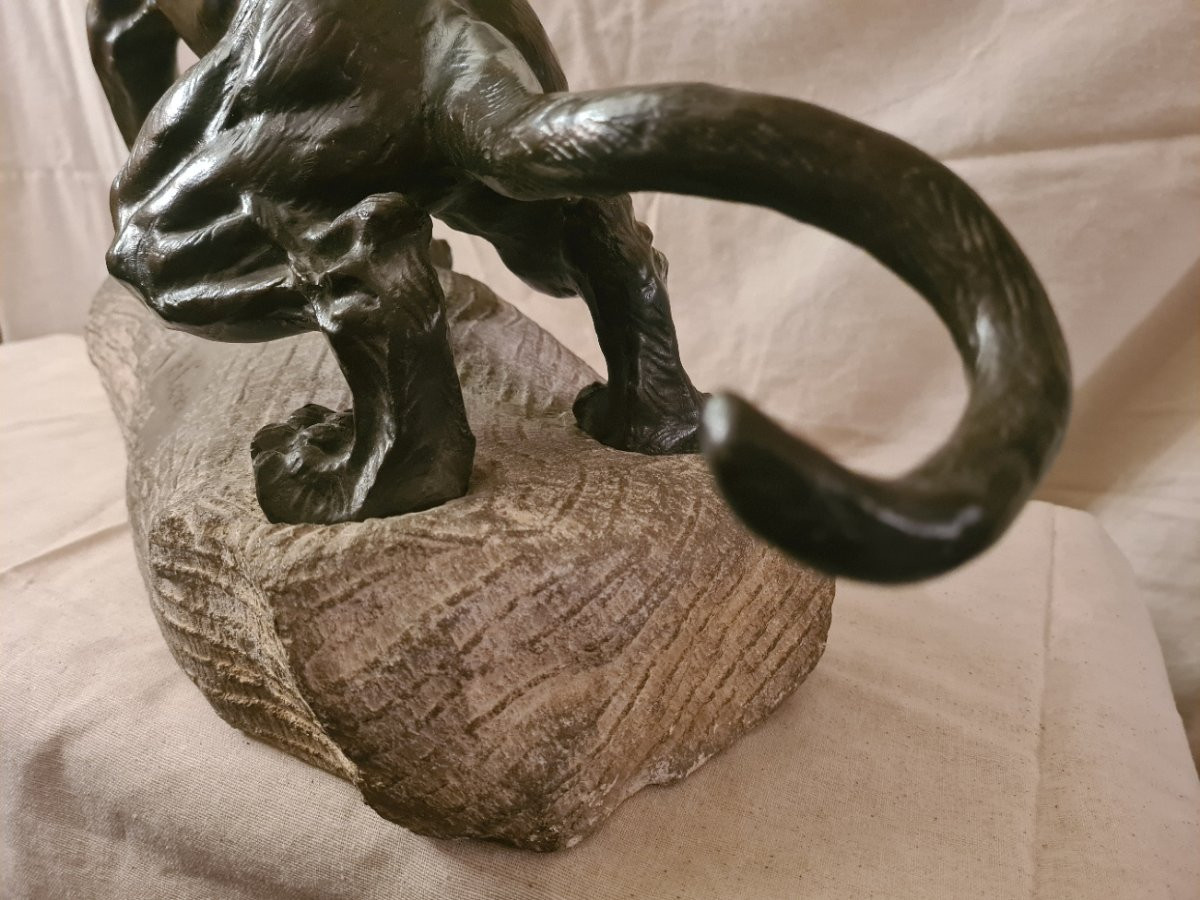 Bronze: Lionne Blessée Rugissant Par Thomas François Cartier (1879-1943)-photo-1