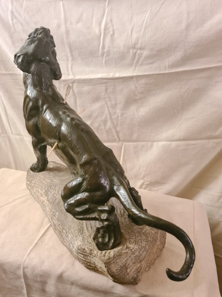 Bronze: Lionne Blessée Rugissant Par Thomas François Cartier (1879-1943)-photo-2