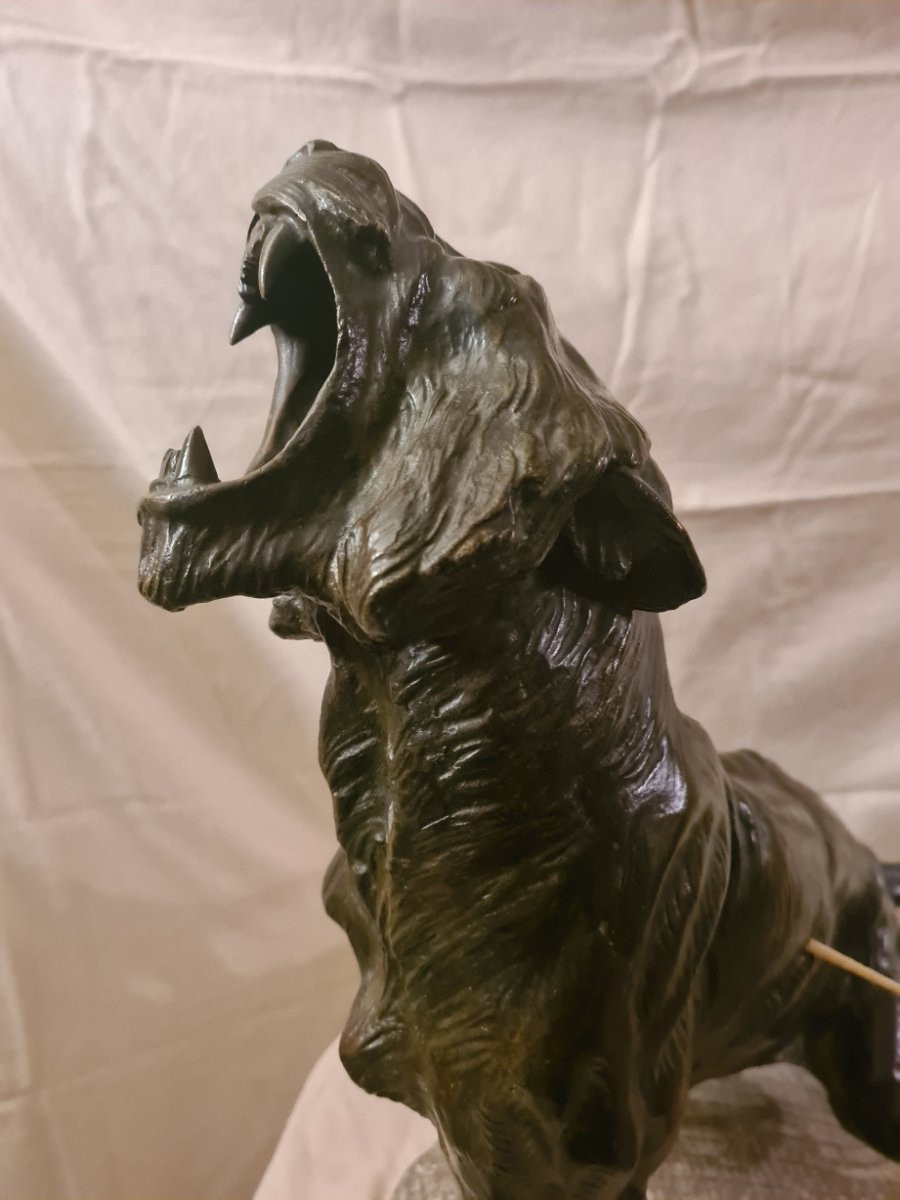 Bronze: Lionne Blessée Rugissant Par Thomas François Cartier (1879-1943)-photo-3