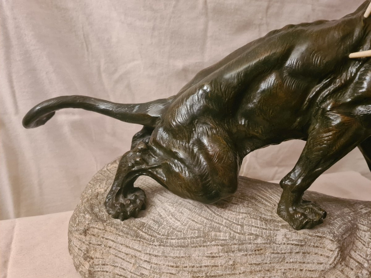 Bronze: Lionne Blessée Rugissant Par Thomas François Cartier (1879-1943)-photo-4