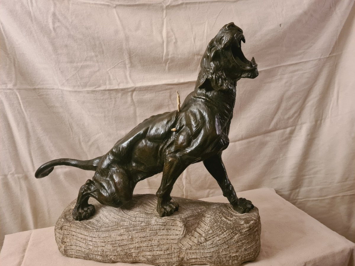 Bronze: Lionne Blessée Rugissant Par Thomas François Cartier (1879-1943)-photo-5