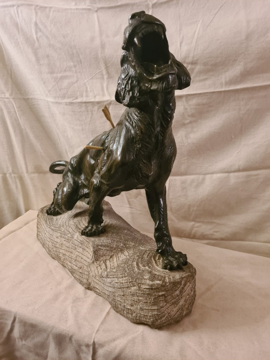 Bronze: Lionne Blessée Rugissant Par Thomas François Cartier (1879-1943)-photo-6