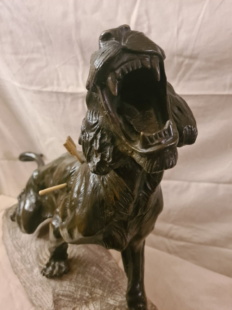 Bronze: Lionne Blessée Rugissant Par Thomas François Cartier (1879-1943)-photo-7