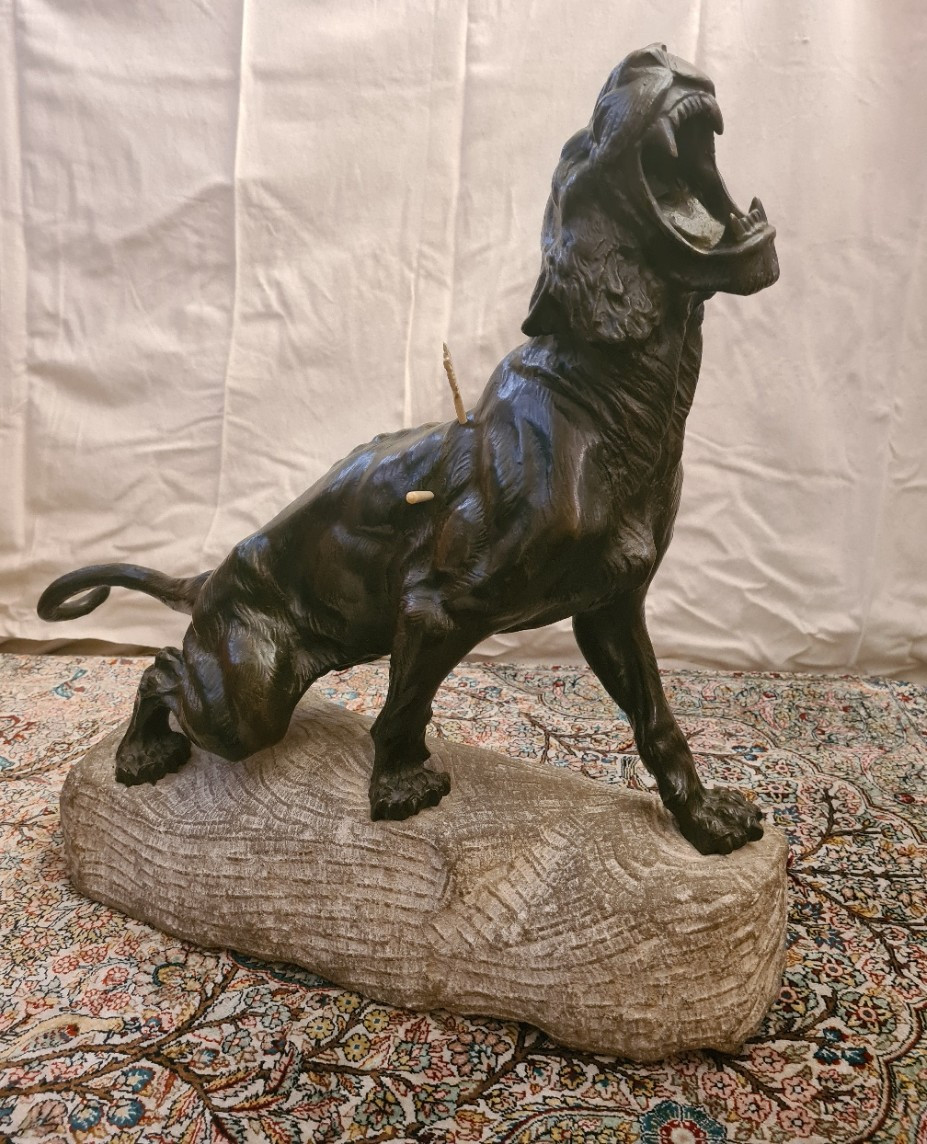Bronze: Lionne Blessée Rugissant Par Thomas François Cartier (1879-1943)
