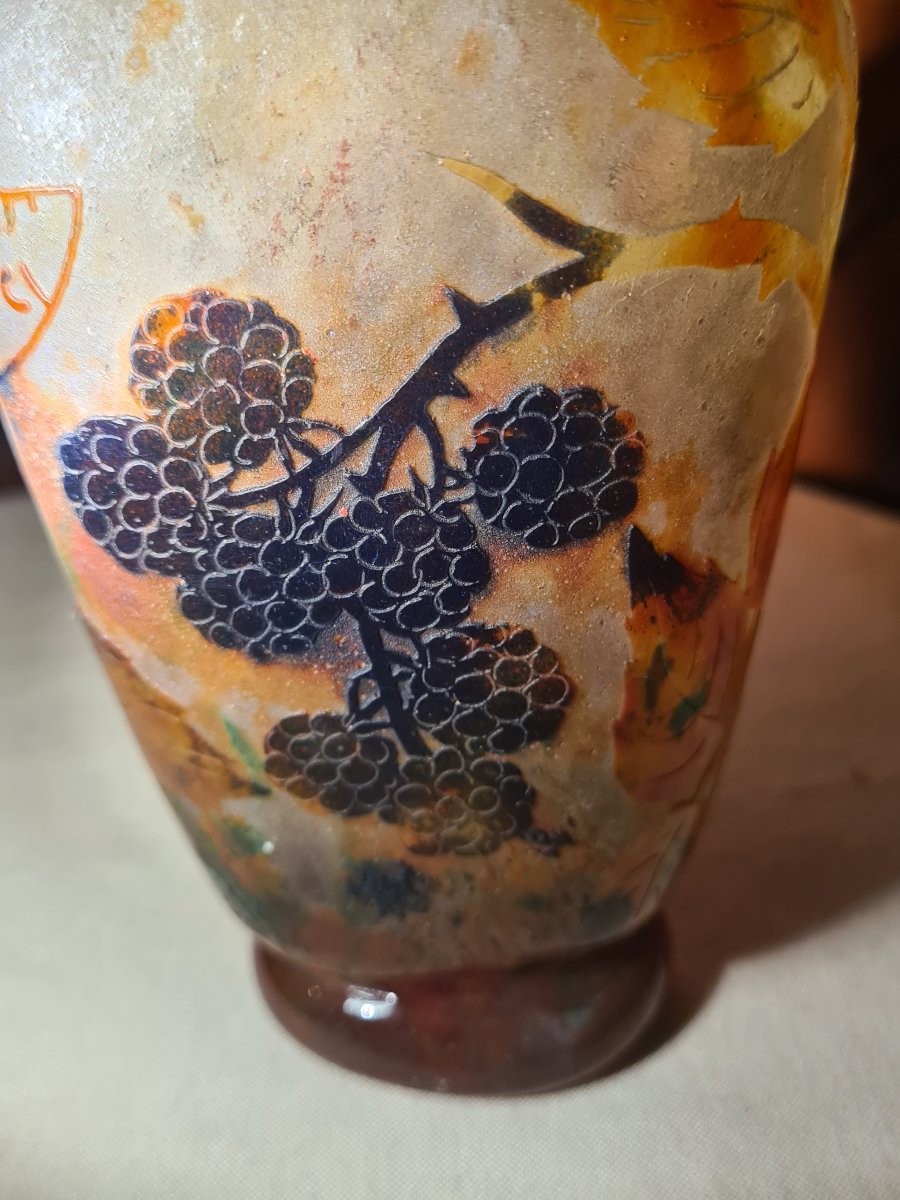 Vase Daum aux mûres-photo-7