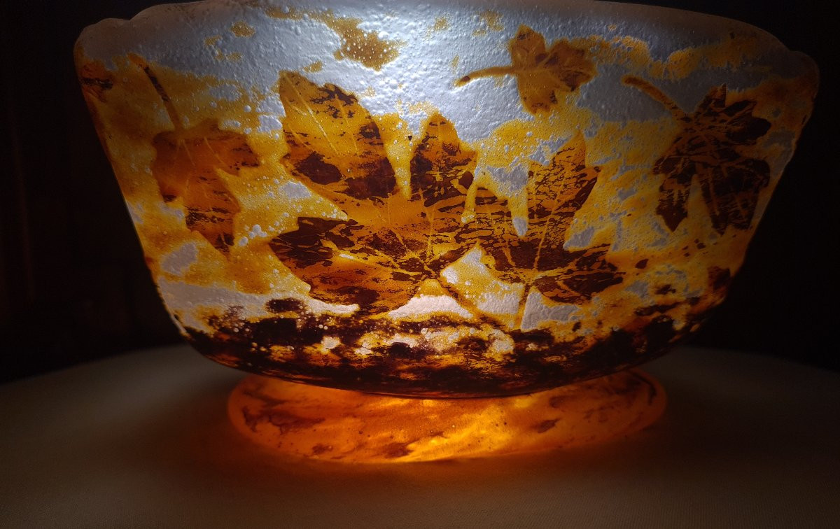 Daum Glass Pate Cup-photo-6