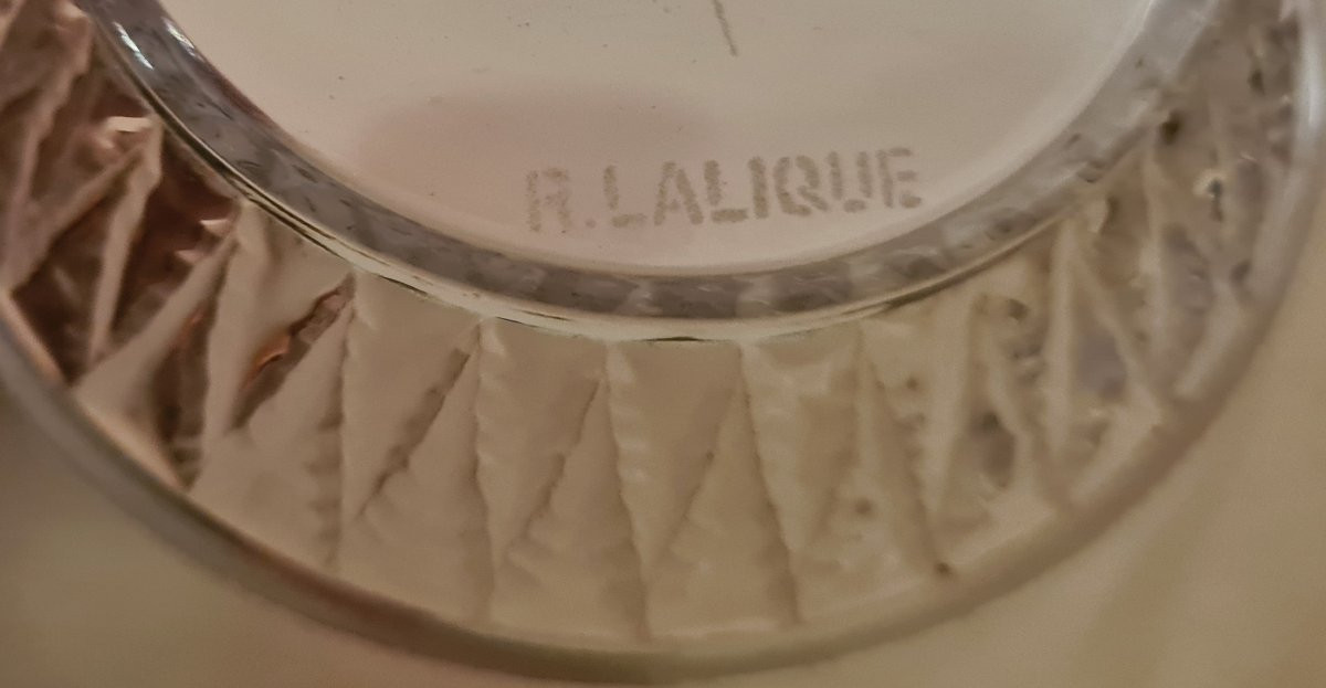 5 Bols modèle Bourgueil signé René Lalique-photo-3
