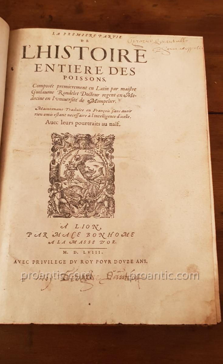 Livre Ancien " Histoire Entière Des Poissons Par Guillaume Rondelet 1556