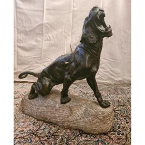 Bronze: Lionne Blessée Rugissant Par Thomas François Cartier (1879-1943)