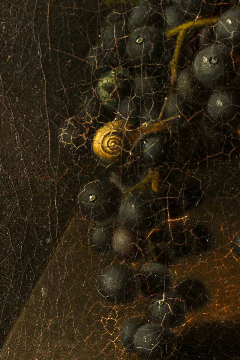 Still Life With Grapes-photo-2
