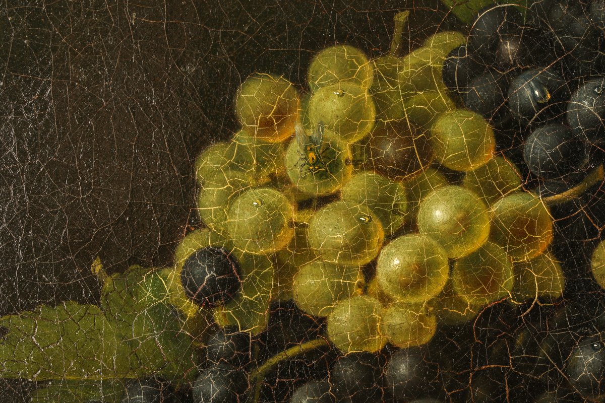 Still Life With Grapes-photo-3