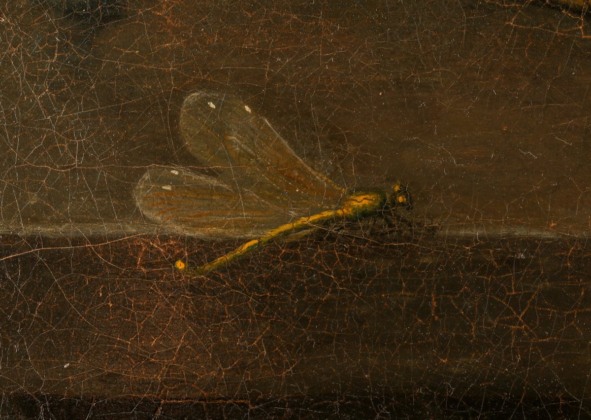 Still Life With Grapes-photo-4