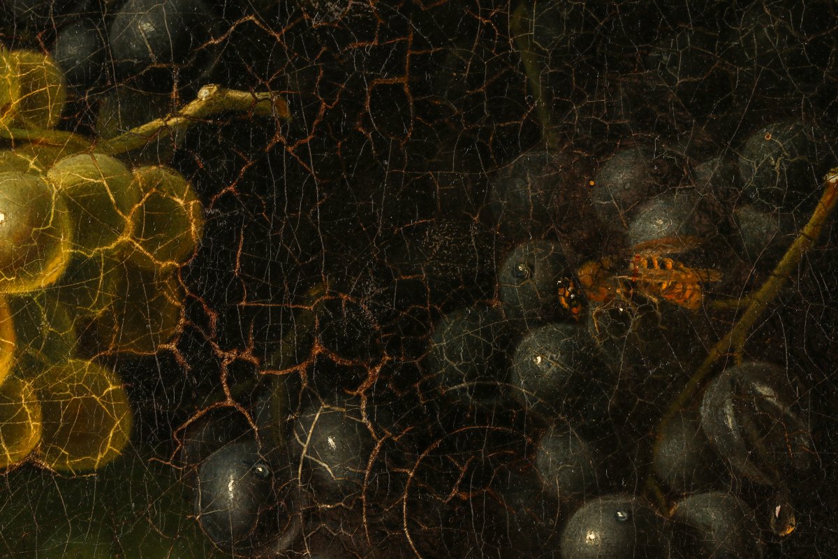 Still Life With Grapes-photo-1