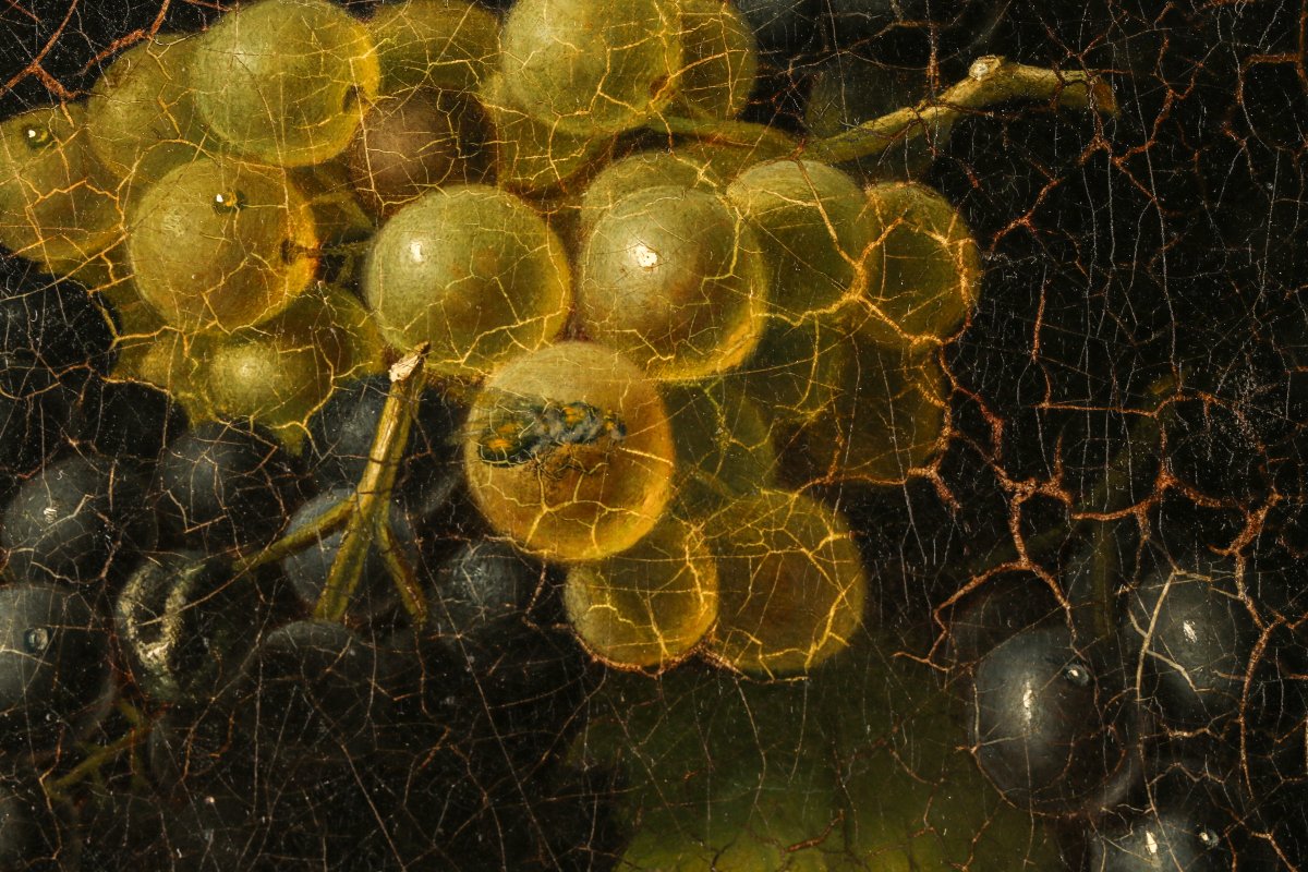 Still Life With Grapes-photo-2