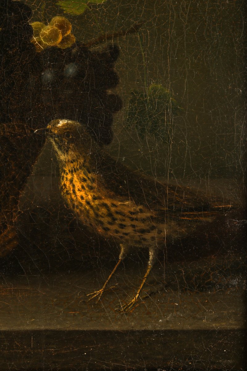 Still Life With Grapes-photo-3