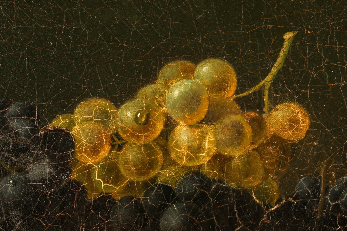 Still Life With Grapes-photo-4