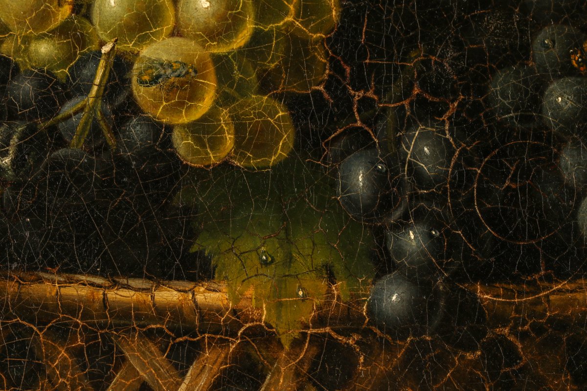 Still Life With Grapes-photo-5