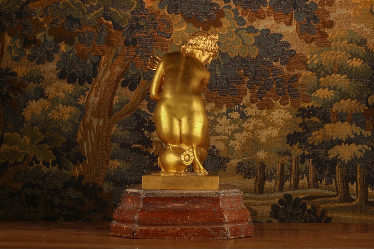 Venus In Gilded Bronze-photo-2