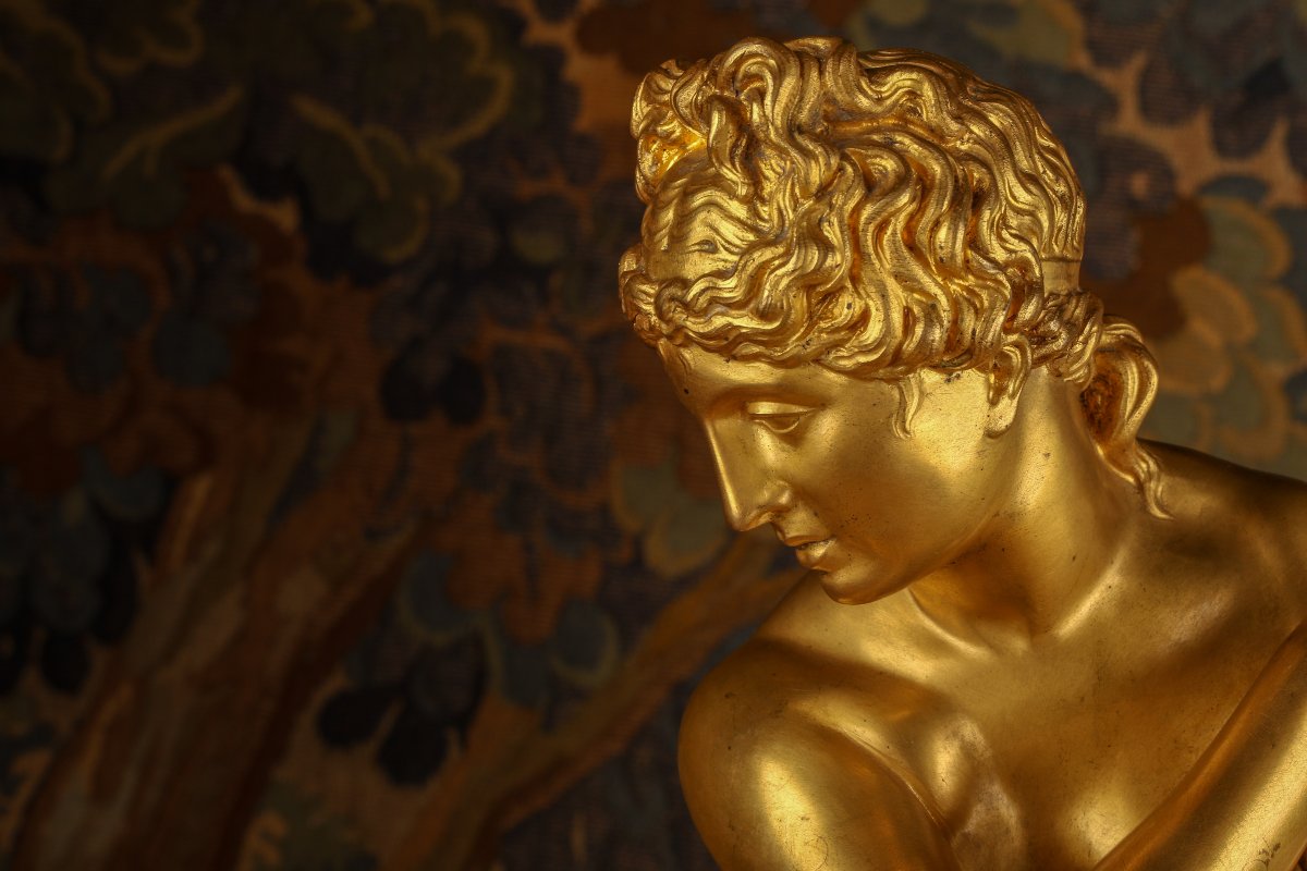 Venus In Gilded Bronze-photo-2
