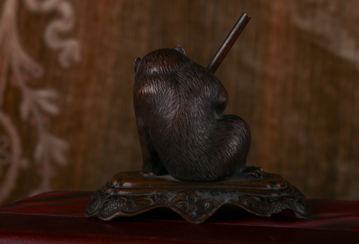 Small Animal Holding A Gun-photo-3