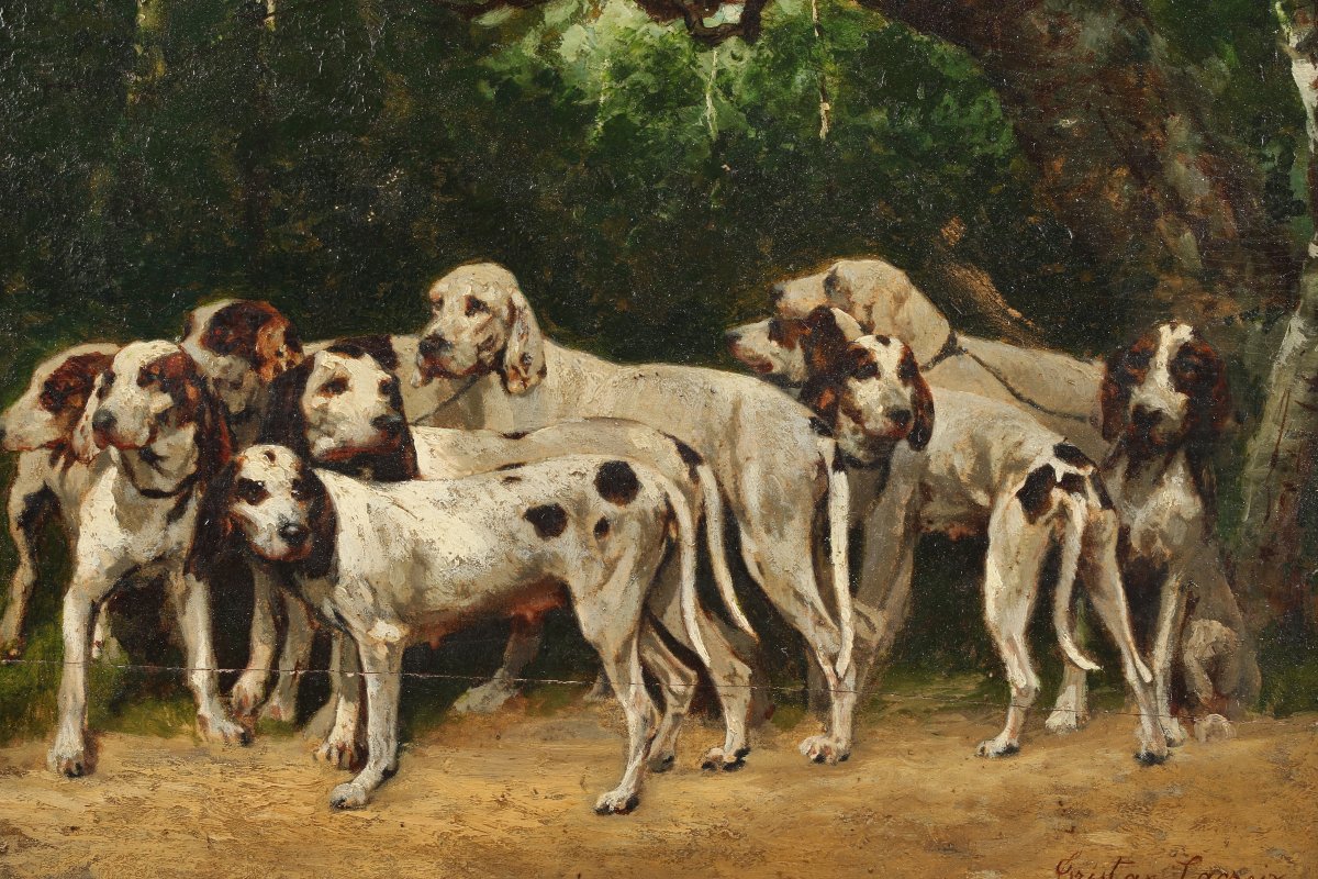 Pack Of Dogs -photo-2