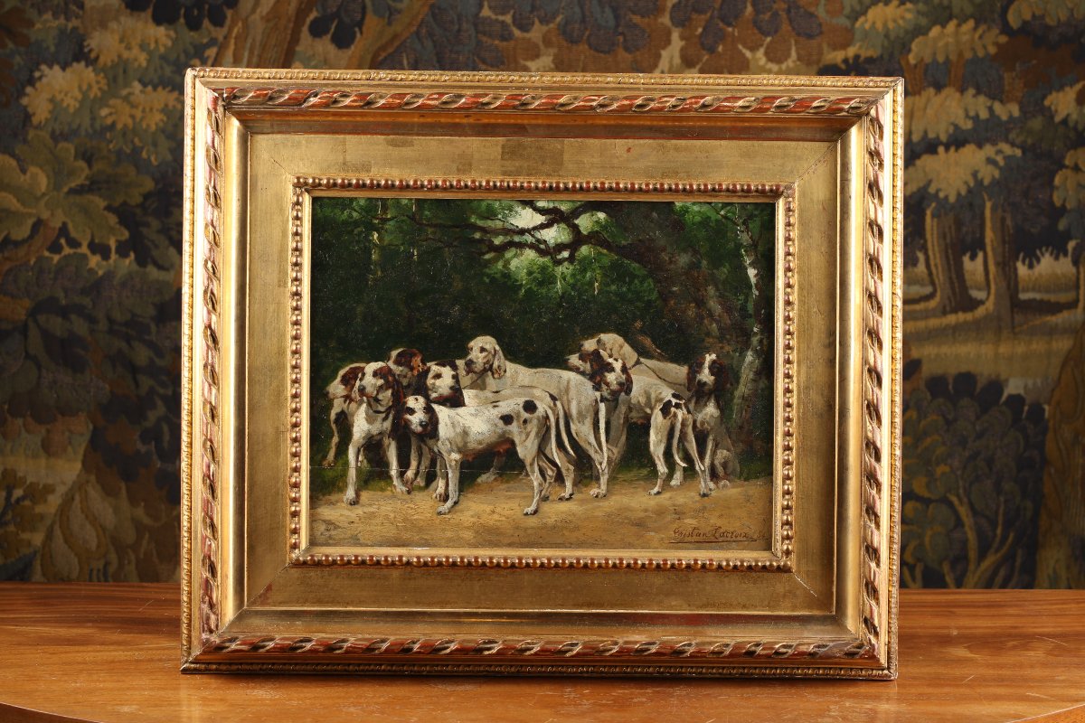 Pack Of Dogs 