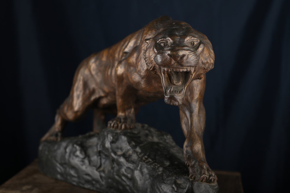 Tigre rugissant -photo-3