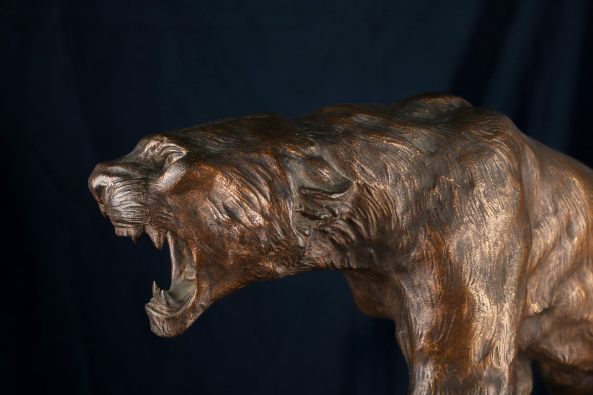 Tigre rugissant -photo-1